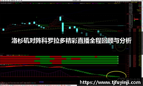 zoty中欧