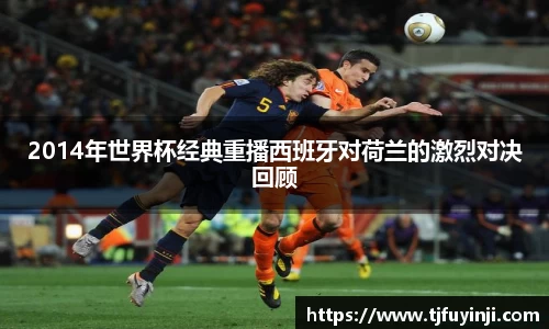 zoty中欧