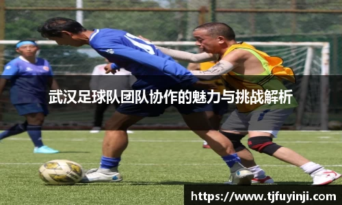 武汉足球队团队协作的魅力与挑战解析